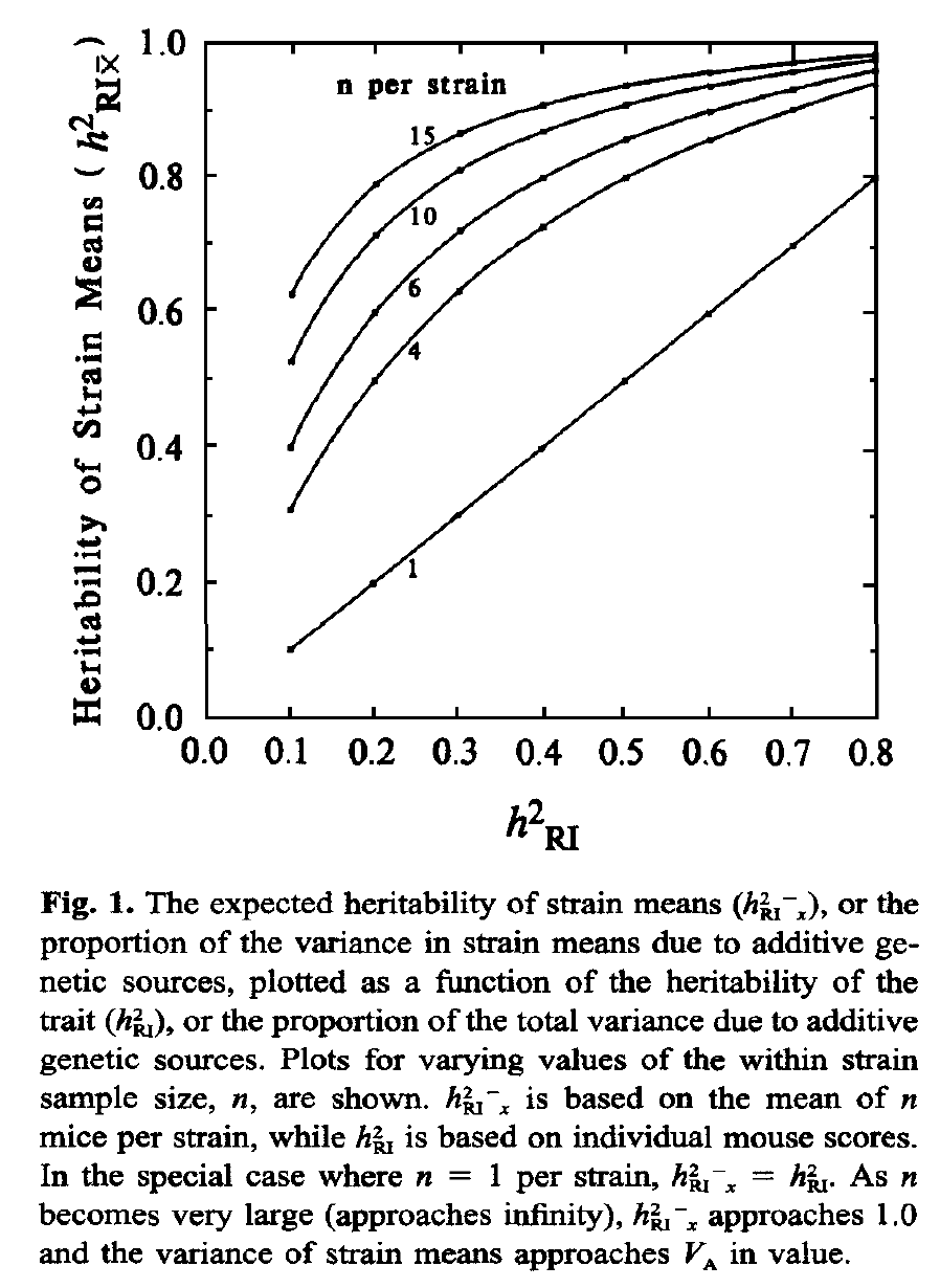 Homozygosity