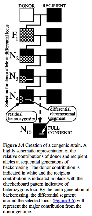 Congenic